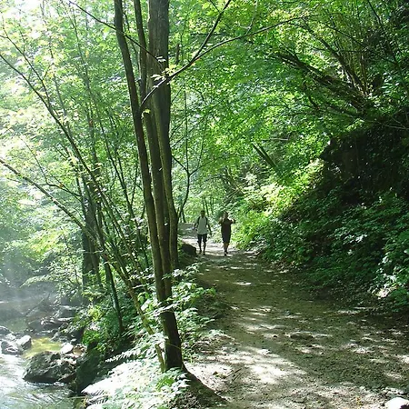 Vintgar スロヴェンスカ・ビストリツァ