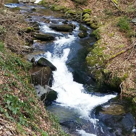 Vintgar スロヴェンスカ・ビストリツァ