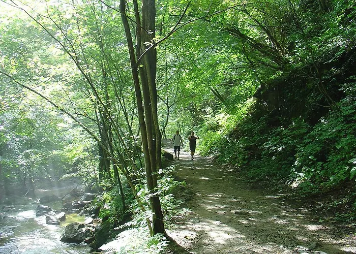 Vintgar Slovenska Bistrica