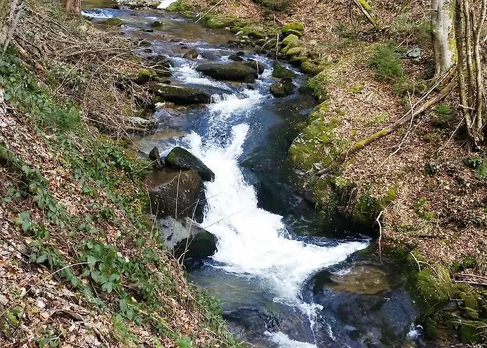 Vintgar Slovenska Bistrica